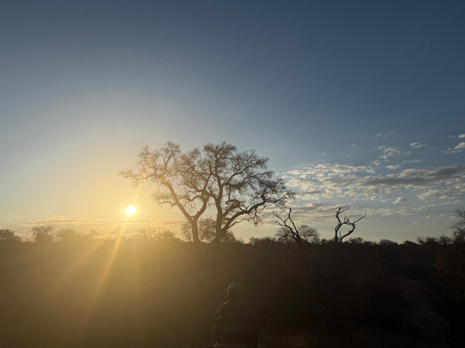 Incredible photos captured by one of our guests during their unforgettable stay in Kapama Private Game Reserve—from the heart of Southern Camp to the luxury of Karula Lodge.